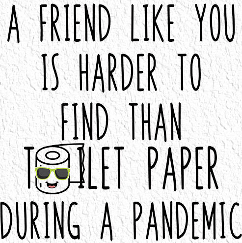 A friend like you is harder to find then toilet paper in a Pandemic ( 2 faces) - PNG waterslide Sublimation clipart tumbler apparel